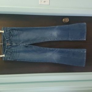 Joe's Jeans Provocateur Fit Camille Wash Size 27
